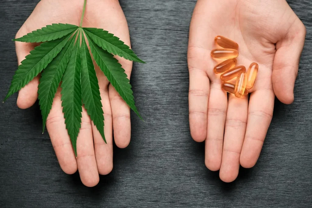 2 hands offering either a marijuana leaf or clear pills